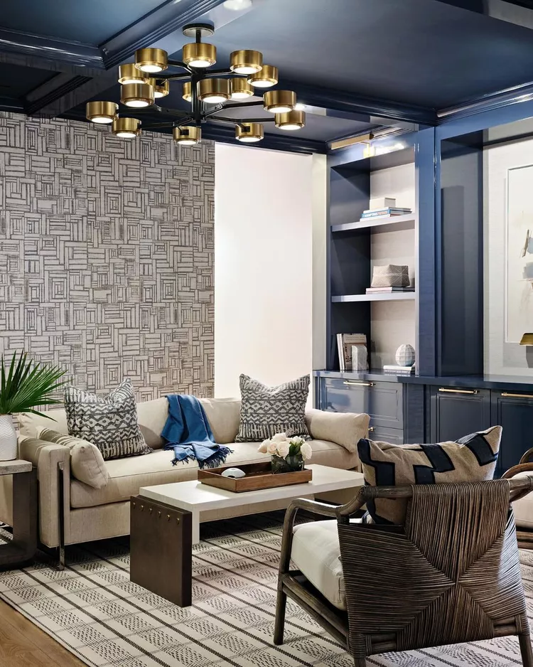 Ceiling and Bookshelf Combo