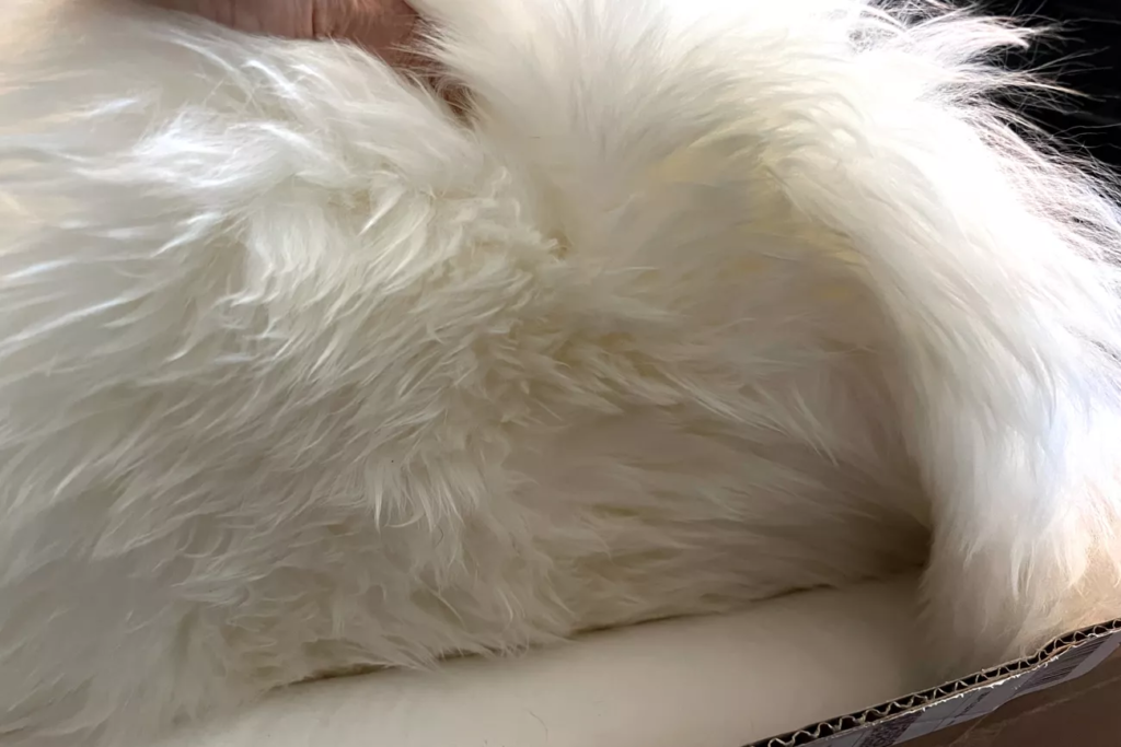 Quince Australian Single Sheepskin Rug