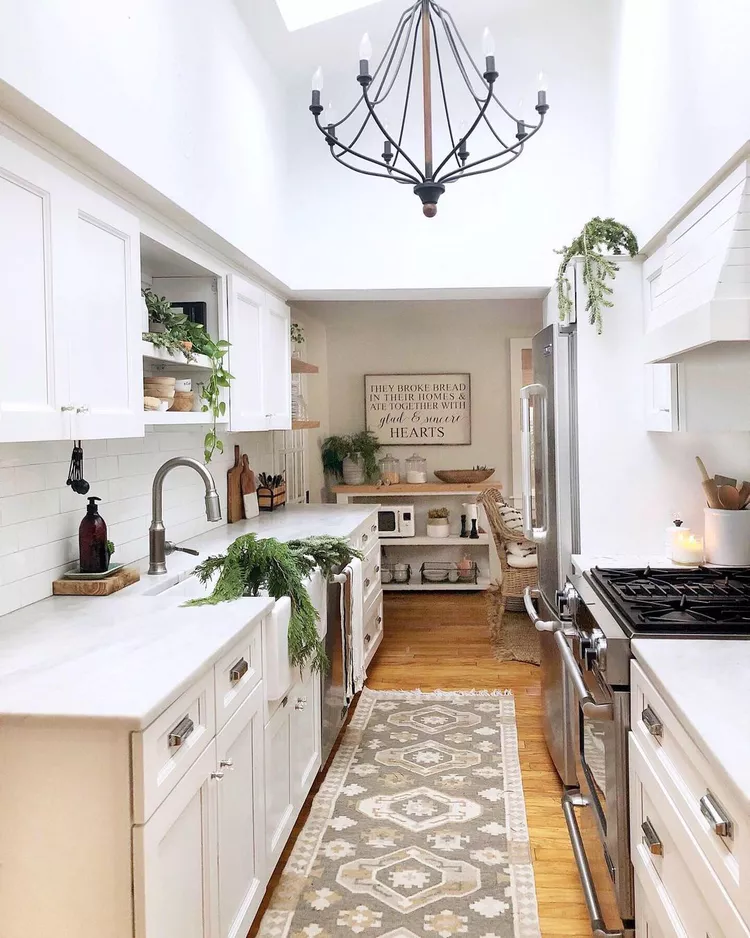 Greenery in Small Galley Kitchen
