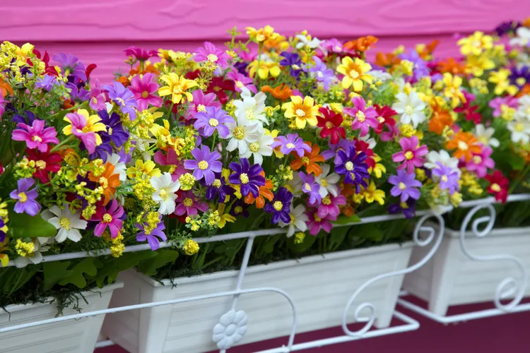 Plastic Plants and Trees