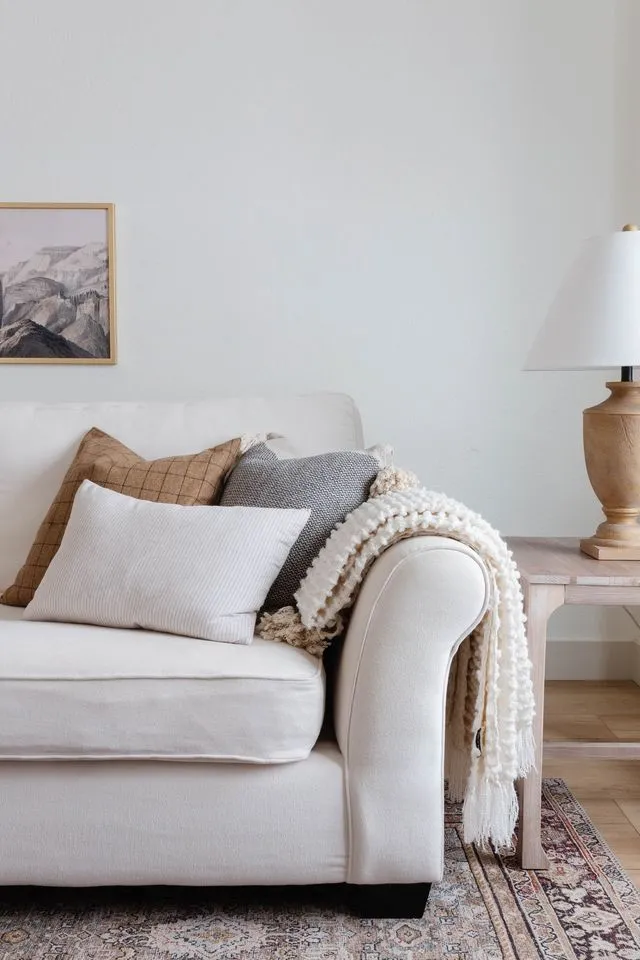 Should Throw Pillows Match the Rug?