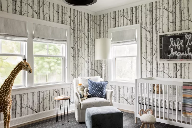 Try a Nature-Inspired Theme