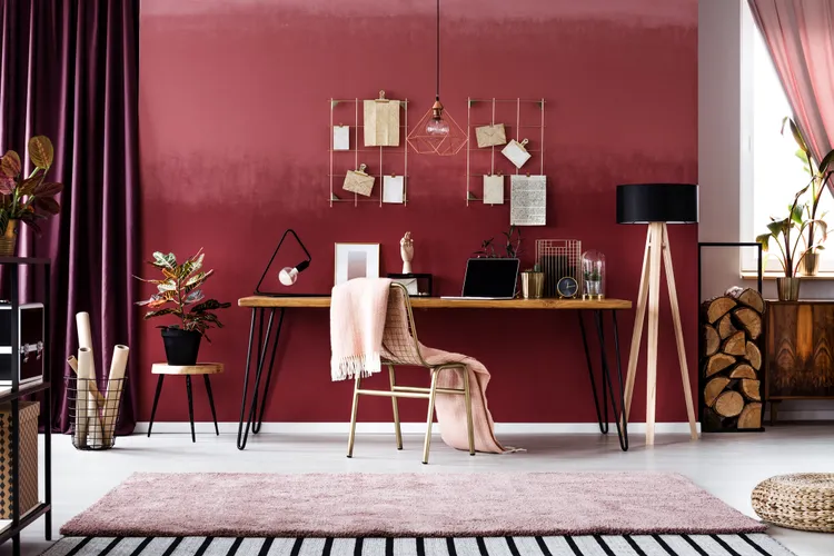 Moody and Saturated Color Palettes