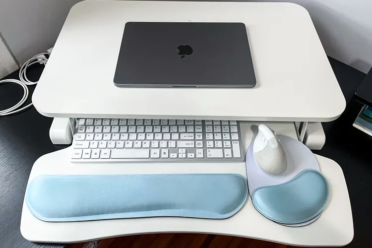 Ideal in Form and Function