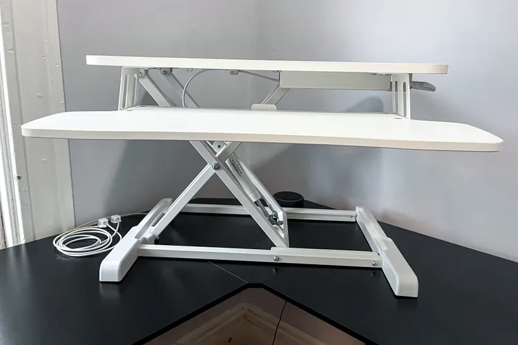 Ideal in Form and Function