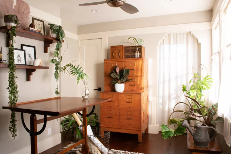 Support Your Desired Aesthetic