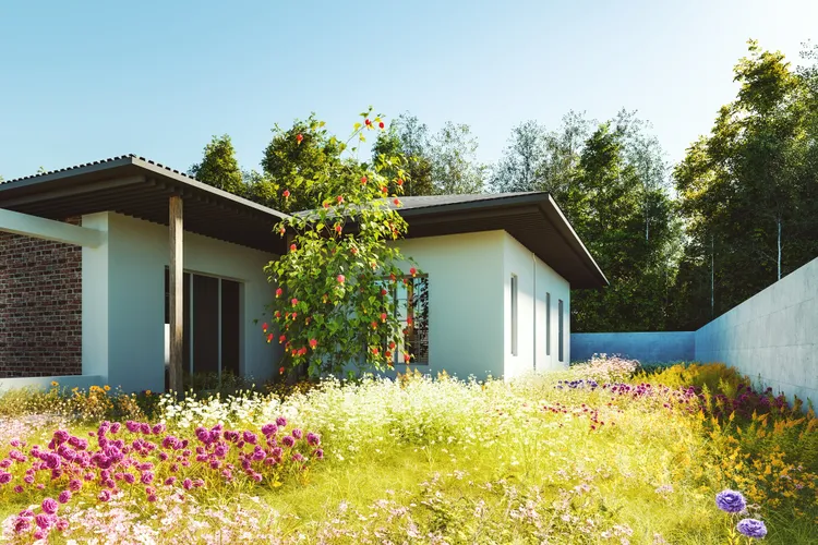 Not Tending to Your Landscaping