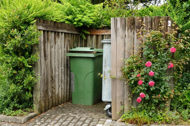 Say Yes to a Trellis