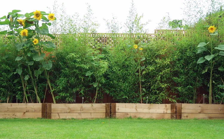 Raised Flower Beds and Planter Boxes