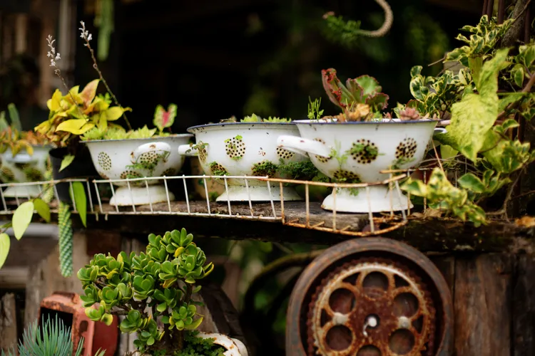 Unused Kitchen Tools and Mugs